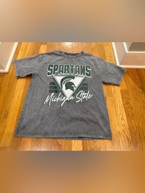 Michigan State Spartans Gray Graphic Tee
